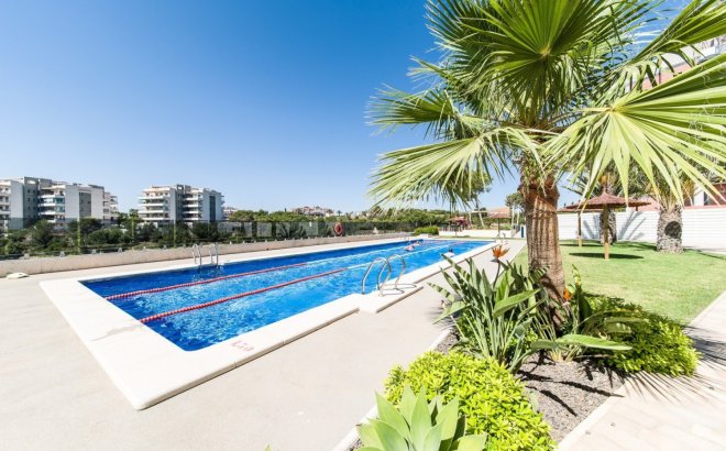 Penthouse - Herverkoop - Orihuela Costa - Costa Blanca