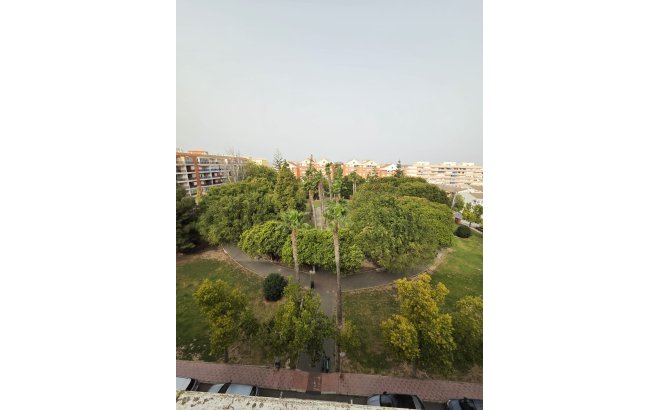 Penthouse - Herverkoop - Torrevieja - Costa Blanca