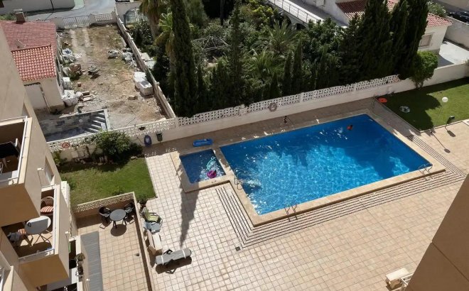 Penthouse - Herverkoop - Torrevieja -
                Nueva Torrevieja
