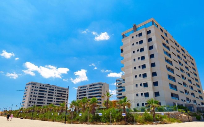 Penthouse - Herverkoop - Torrevieja - Punta Prima