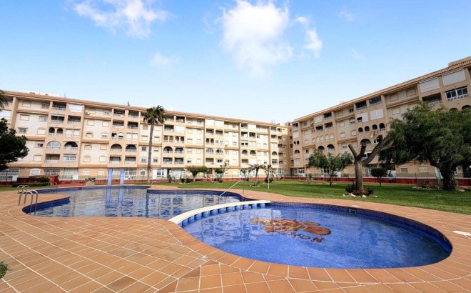 Penthouse - Resale - Torrevieja -
                Costa Blanca