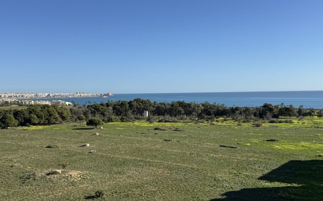 Penthouse - Revente - Punta Prima -
                Costa Blanca