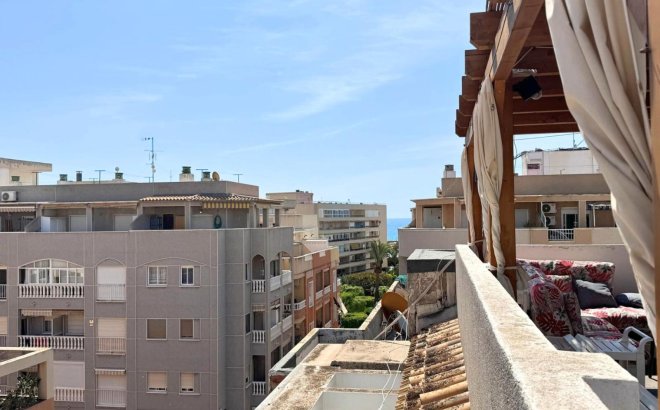 Penthouse - Revente - Torrevieja - Costa Blanca