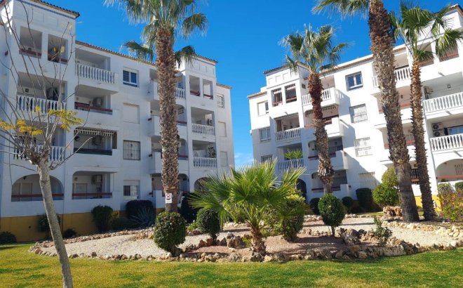Penthouse - Revente - Villamartin - Costa Blanca