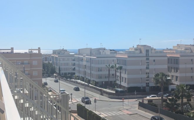 Penthouse - Revente - Villamartin - Costa Blanca