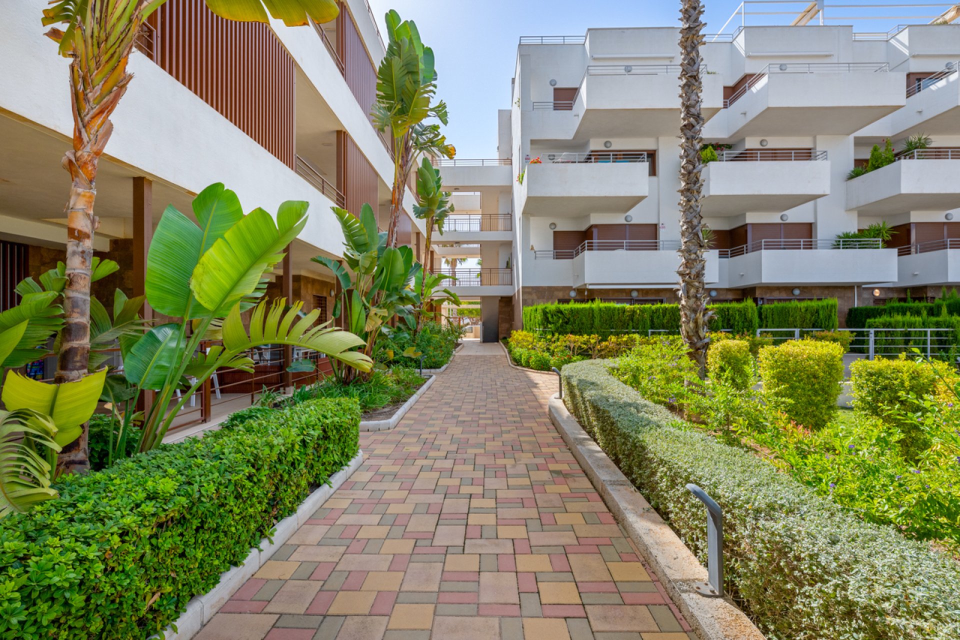 Resale - Apartment -
Cabo Roig - Costa Blanca