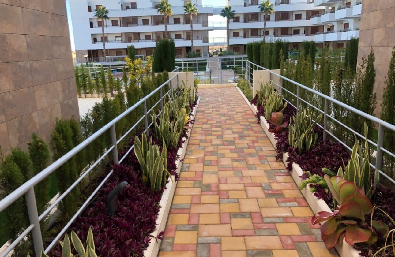 Resale - Apartment -
Cabo Roig - Costa Blanca