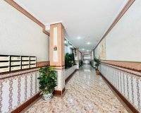 Resale - Apartment -
La Mata - Costa Blanca