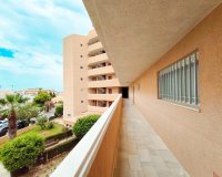 Resale - Apartment -
La Zenia - Costa Blanca