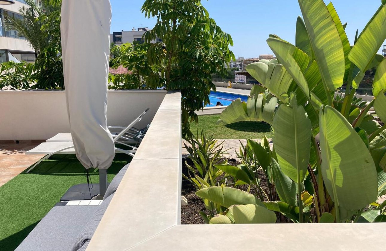 Resale - Apartment -
Los Dolses - Costa Blanca