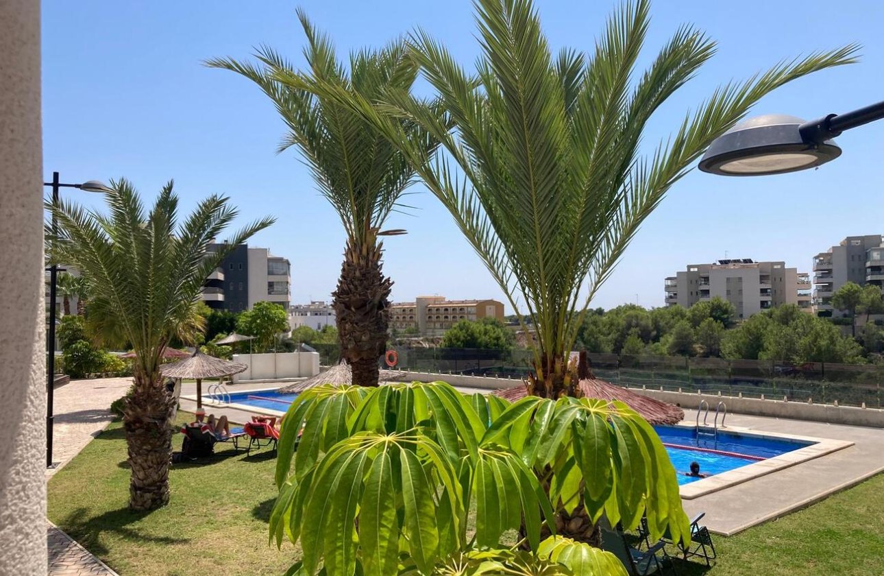 Resale - Apartment -
Los Dolses - Costa Blanca