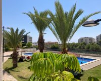Resale - Apartment -
Los Dolses - Costa Blanca