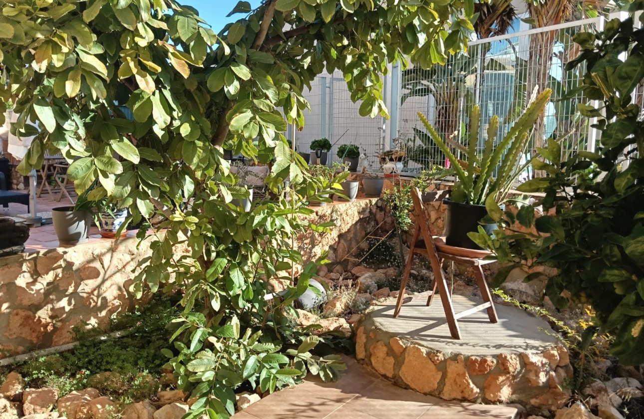 Resale - Apartment -
Los Montesinos - Costa Blanca