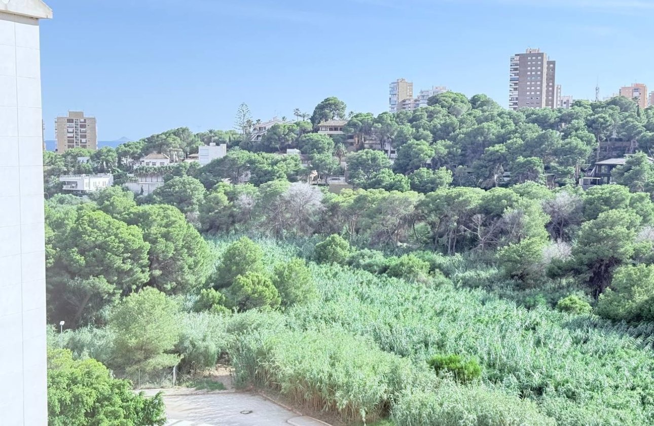 Resale - Apartment -
Orihuela Costa - Campoamor