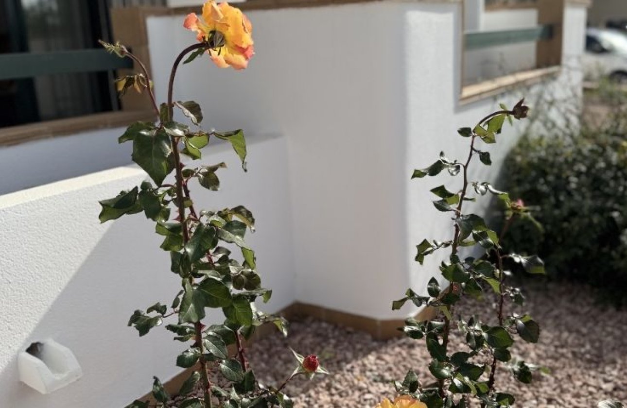 Resale - Apartment -
Orihuela Costa - Costa Blanca