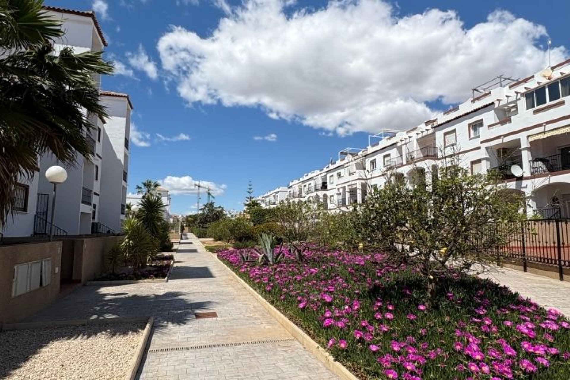 Resale - Apartment -
Orihuela Costa - Costa Blanca