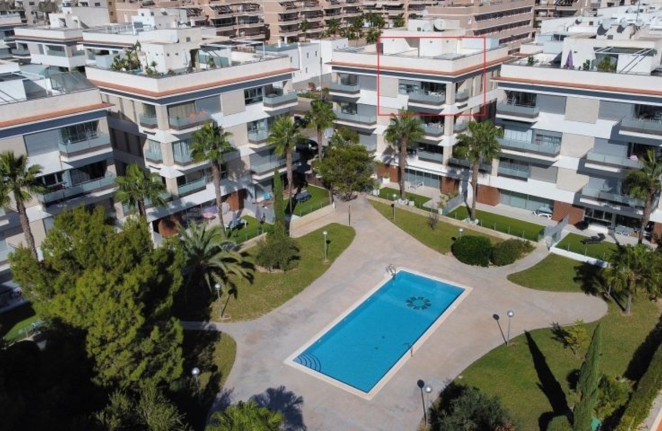 Resale - Apartment -
Orihuela Costa - Costa Blanca