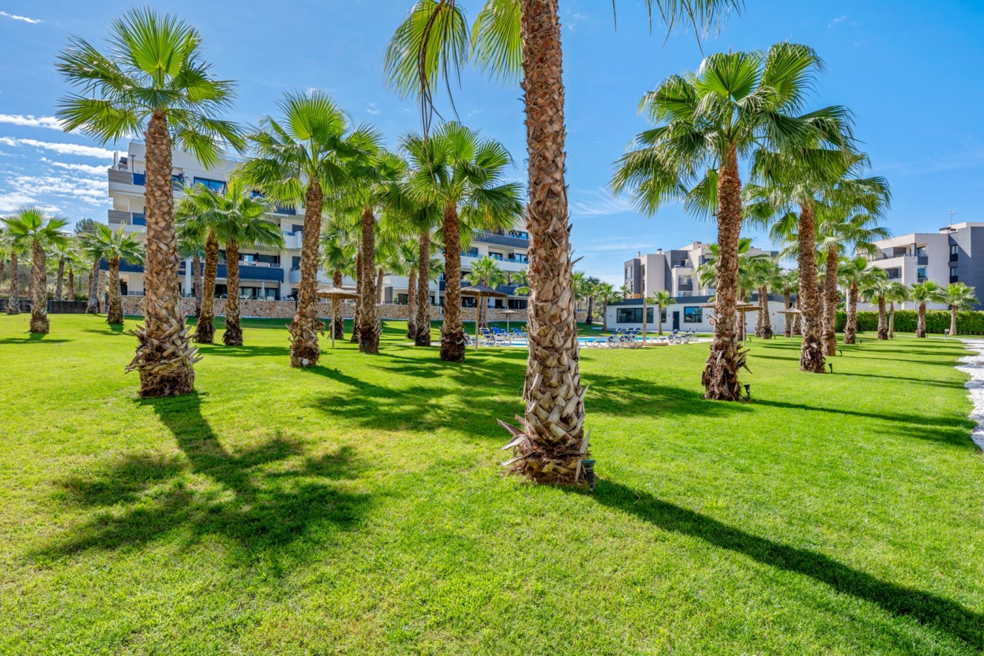 Resale - Apartment -
Orihuela Costa - Costa Blanca