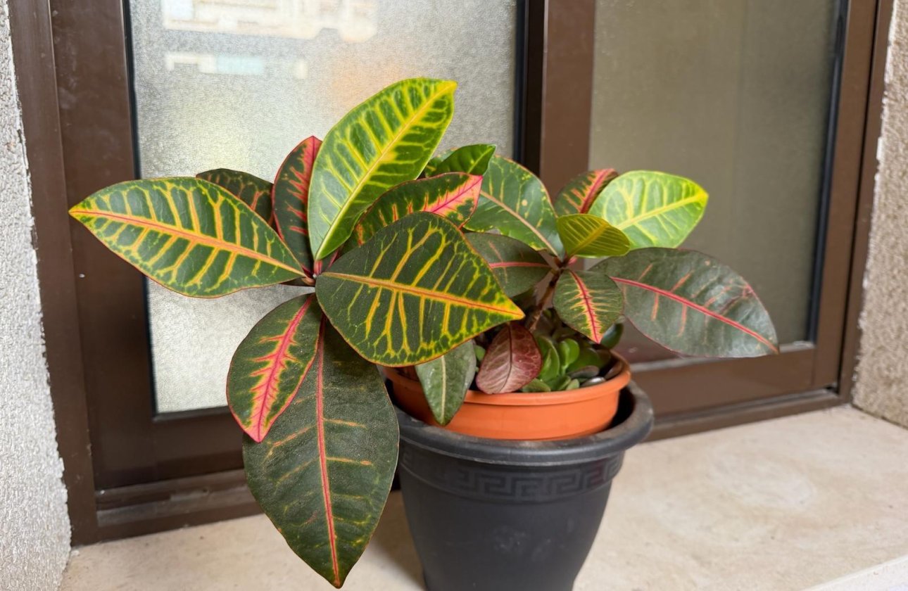 Resale - Apartment -
Orihuela Costa - Las Ramblas