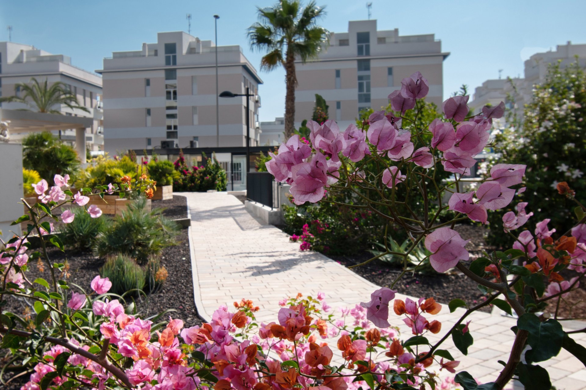 Resale - Apartment -
Orihuela Costa - Los Dolses