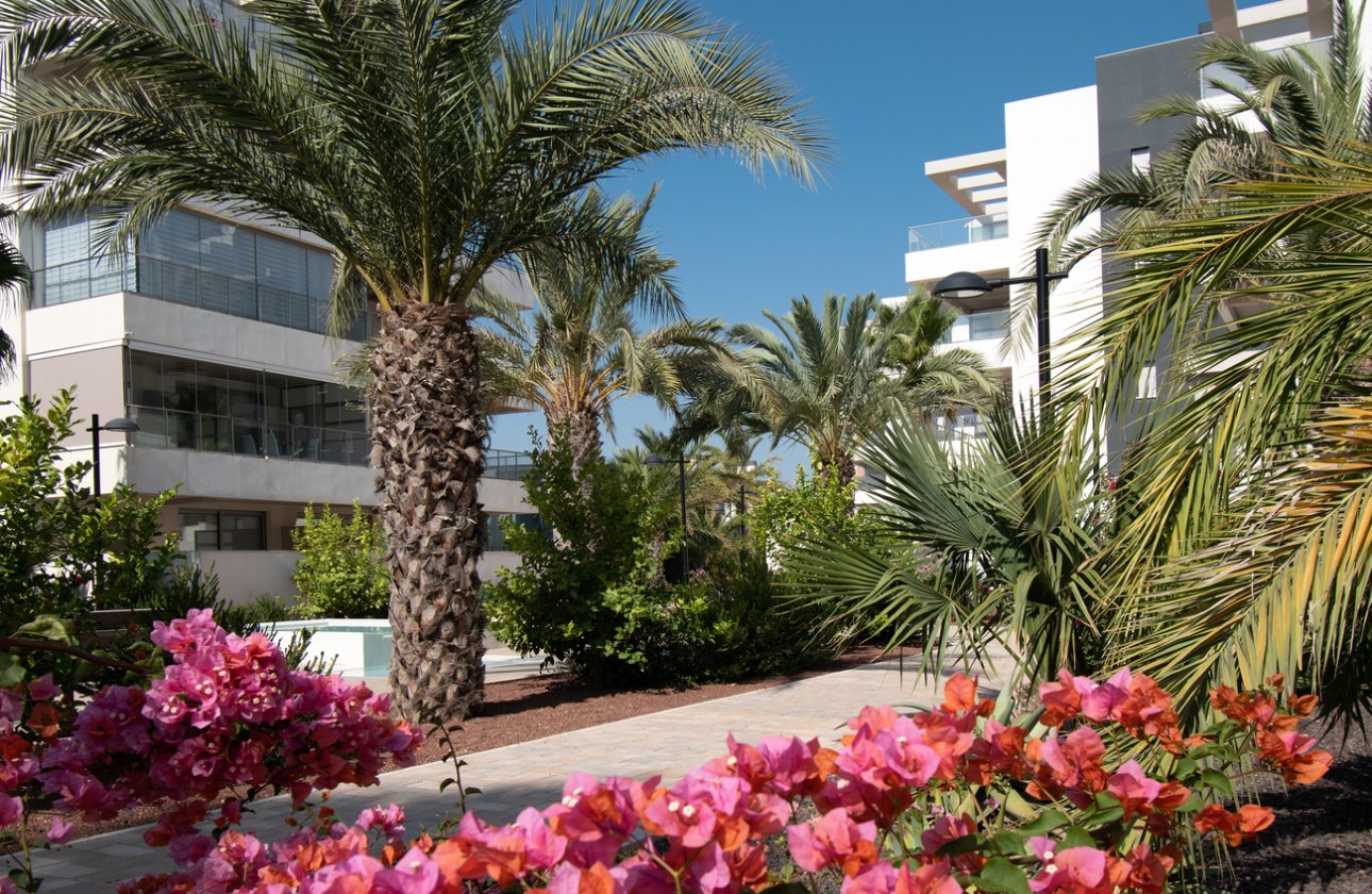 Resale - Apartment -
Orihuela Costa - Los Dolses