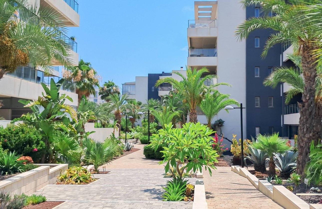Resale - Apartment -
Orihuela Costa - Los Dolses