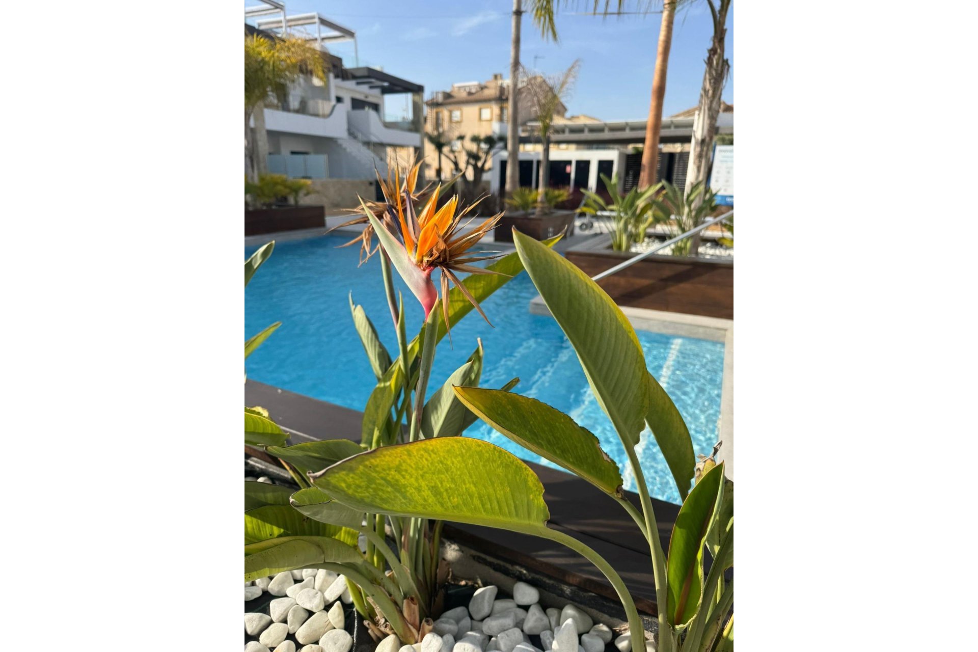 Resale - Apartment -
Orihuela Costa - Rocio Del Mar