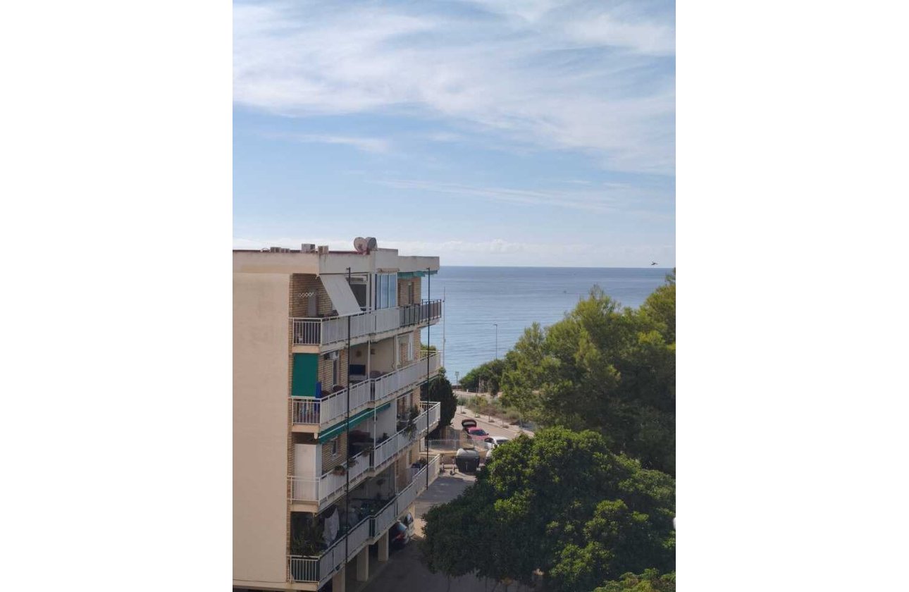 Resale - Apartment Penthouse -
Punta Prima - Costa Blanca