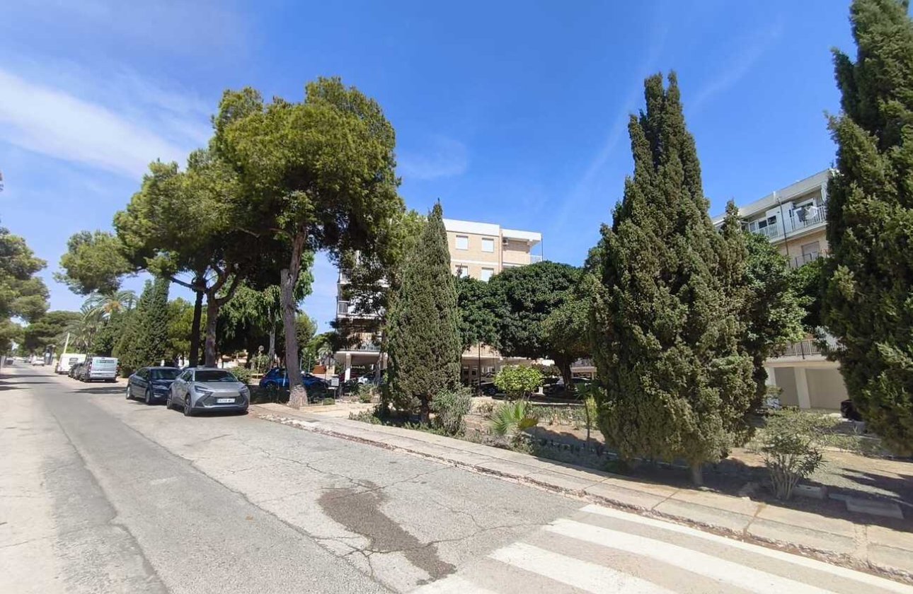 Resale - Apartment Penthouse -
Punta Prima - Costa Blanca