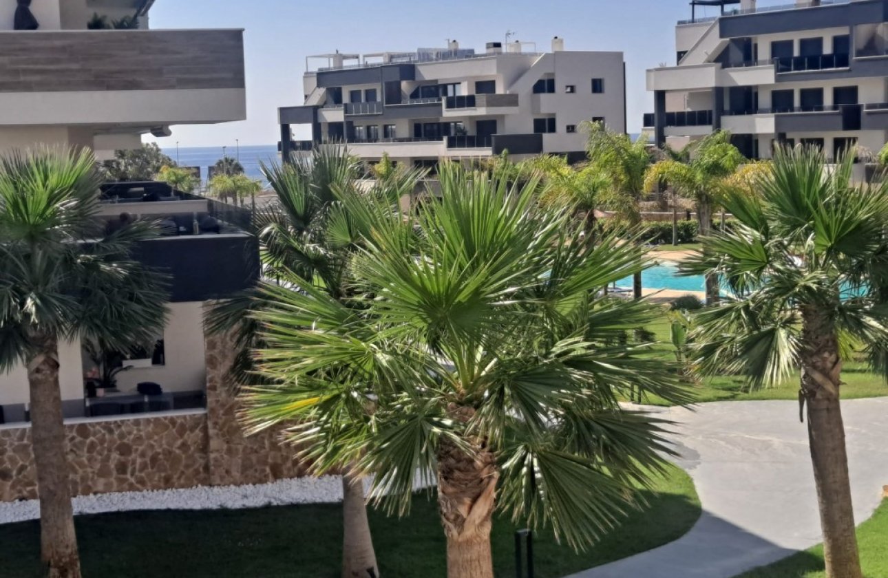 Resale - Apartment -
Playa Flamenca - Costa Blanca