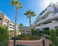 Resale - Apartment -
Playa Flamenca - Costa Blanca