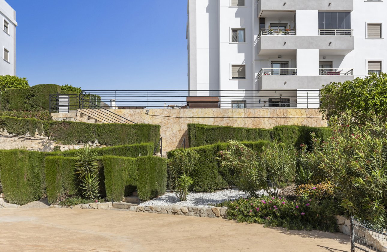 Resale - Apartment -
San Miguel de Salinas - Inland