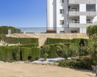 Resale - Apartment -
San Miguel de Salinas - Inland