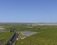 Resale - Apartment -
San Miguel de Salinas - Inland