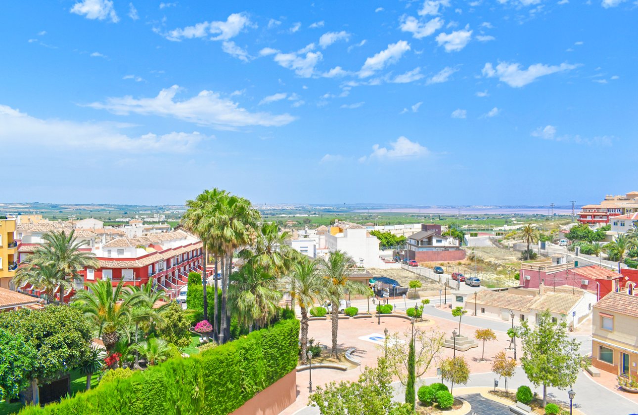 Resale - Apartment -
San Miguel de Salinas - Inland