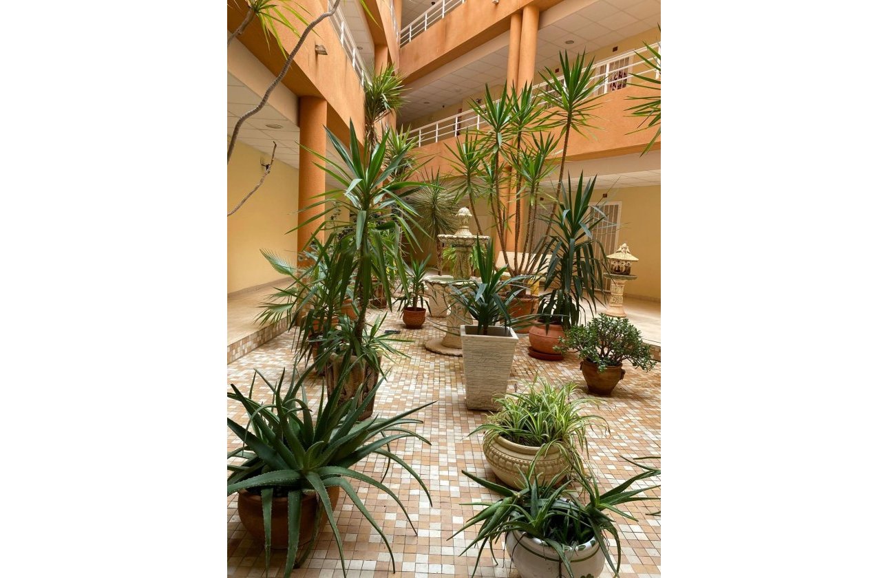 Resale - Apartment -
San Miguel de Salinas - Pueblo 9