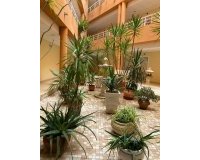 Resale - Apartment -
San Miguel de Salinas - Pueblo 9