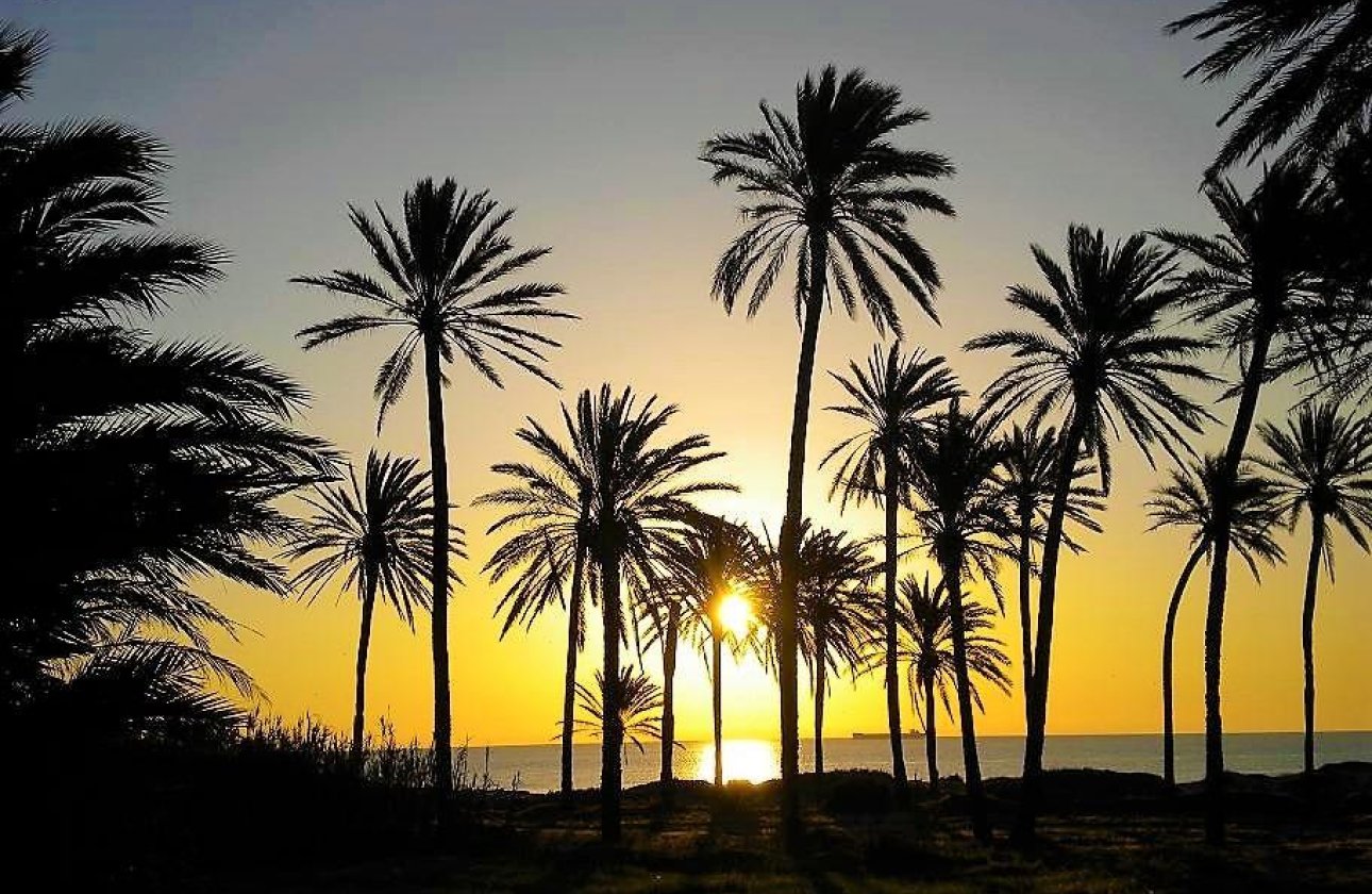 Resale - Apartment -
Torrevieja - Centro