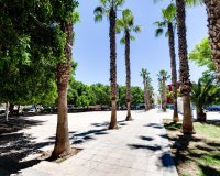 Resale - Apartment -
Torrevieja - Centro
