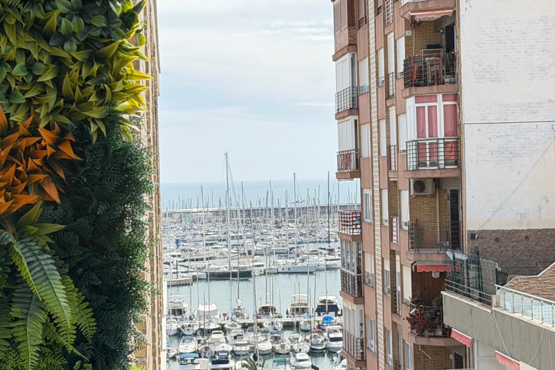 Resale - Apartment -
Torrevieja - Centro