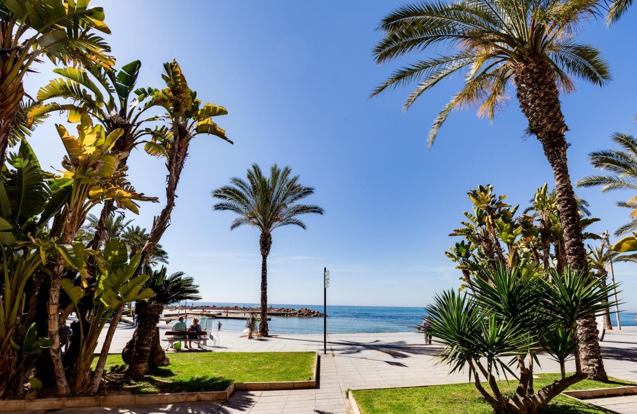 Resale - Apartment -
Torrevieja - Centro