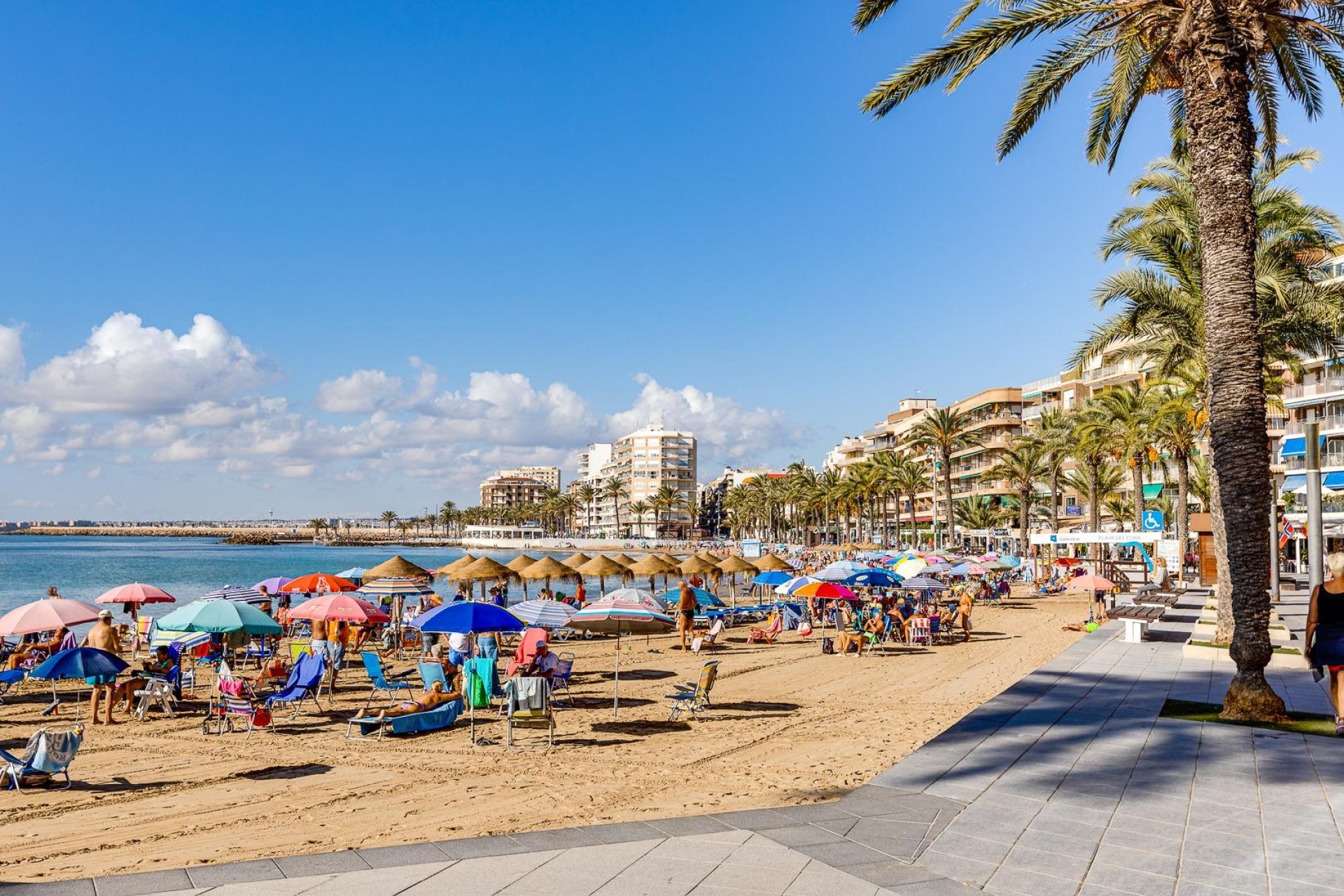 Resale - Apartment -
Torrevieja - Centro