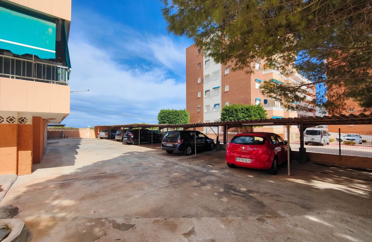 Resale - Apartment -
Torrevieja - Costa Blanca