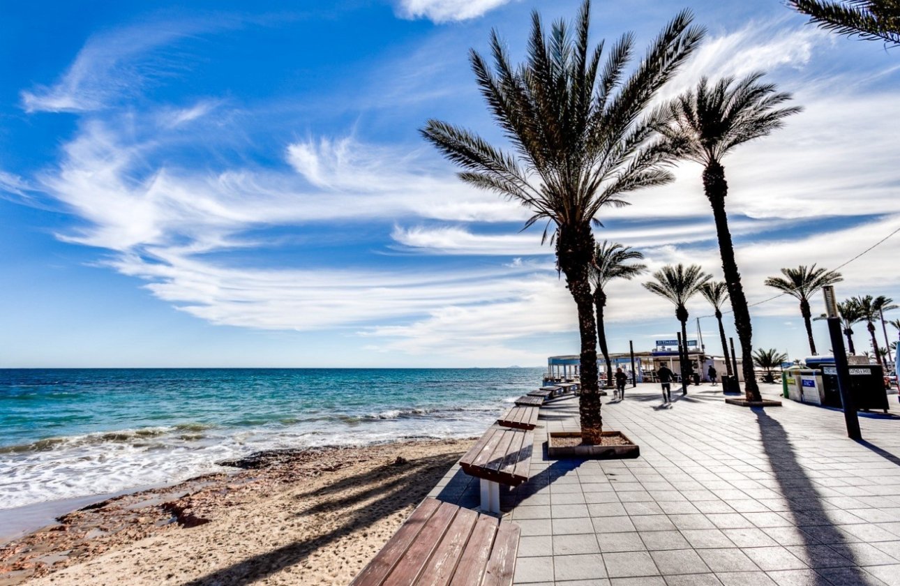 Resale - Apartment -
Torrevieja - Costa Blanca