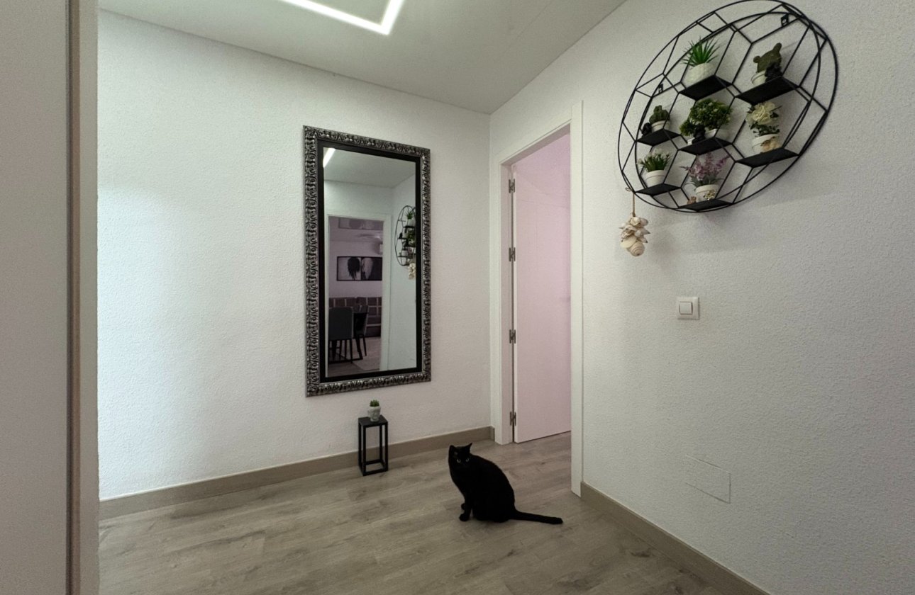 Resale - Apartment -
Torrevieja - Costa Blanca