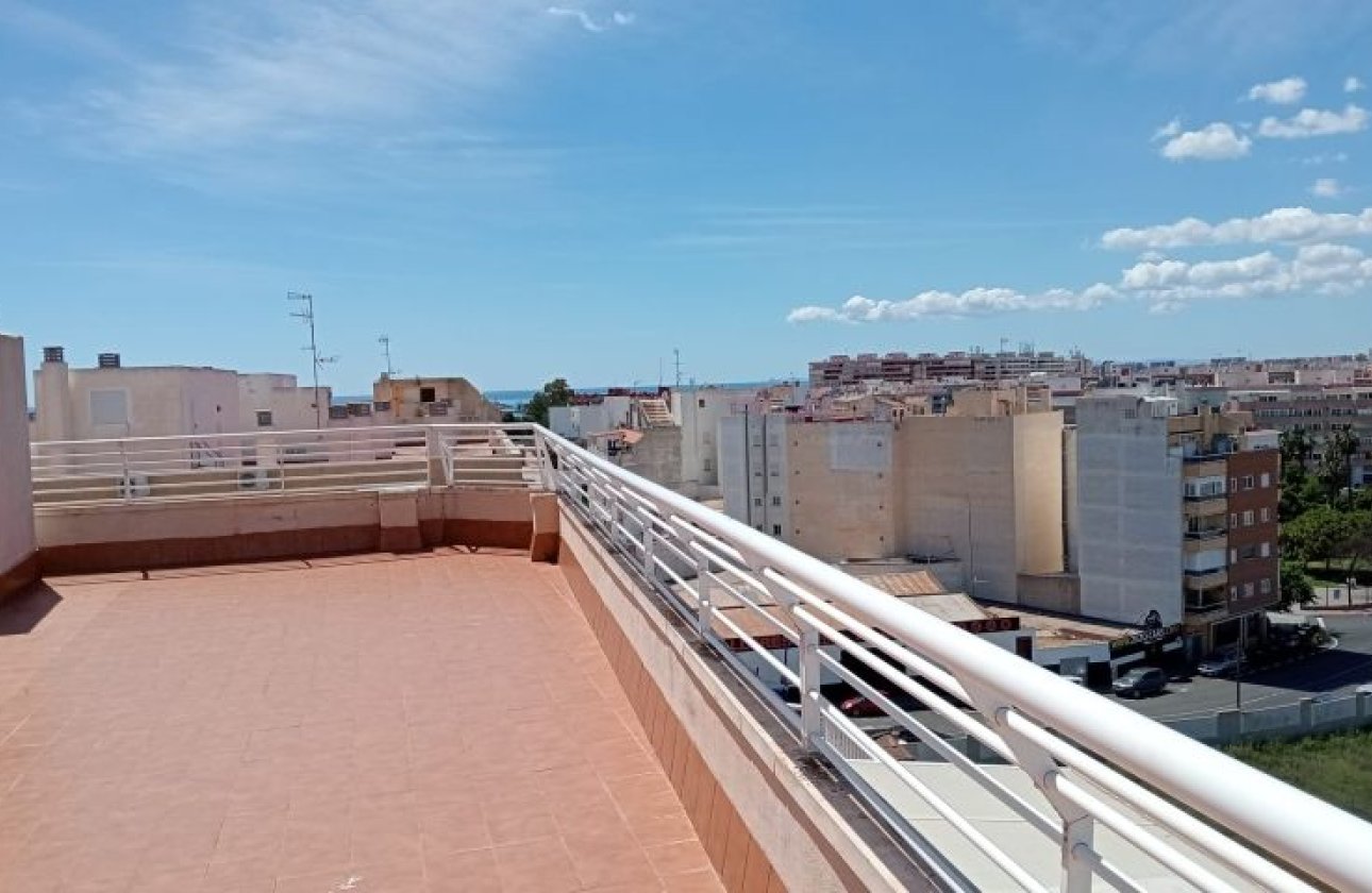 Resale - Apartment -
Torrevieja - Costa Blanca