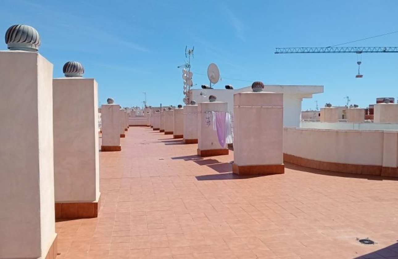 Resale - Apartment -
Torrevieja - Costa Blanca
