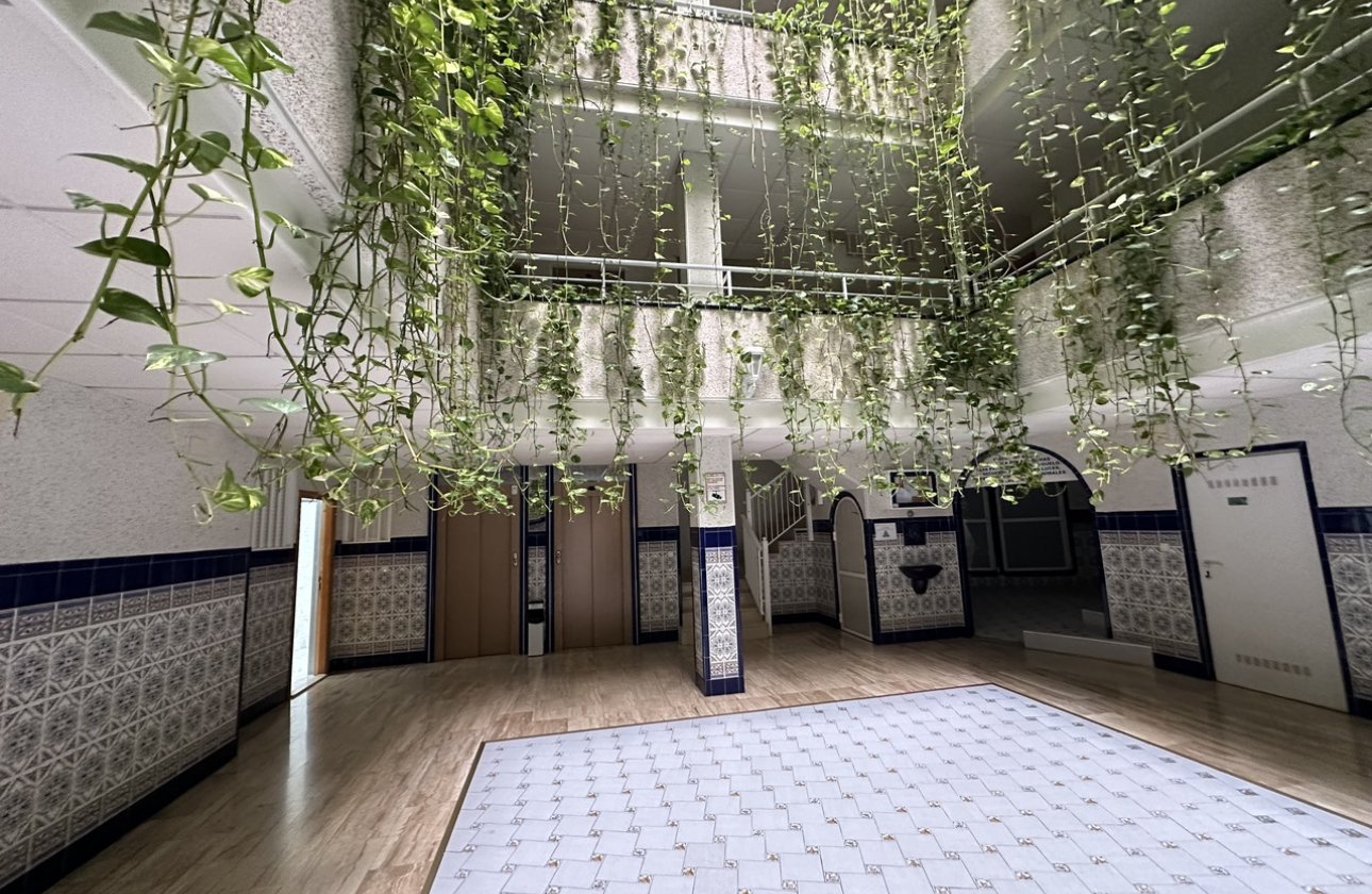 Resale - Apartment -
Torrevieja - Costa Blanca