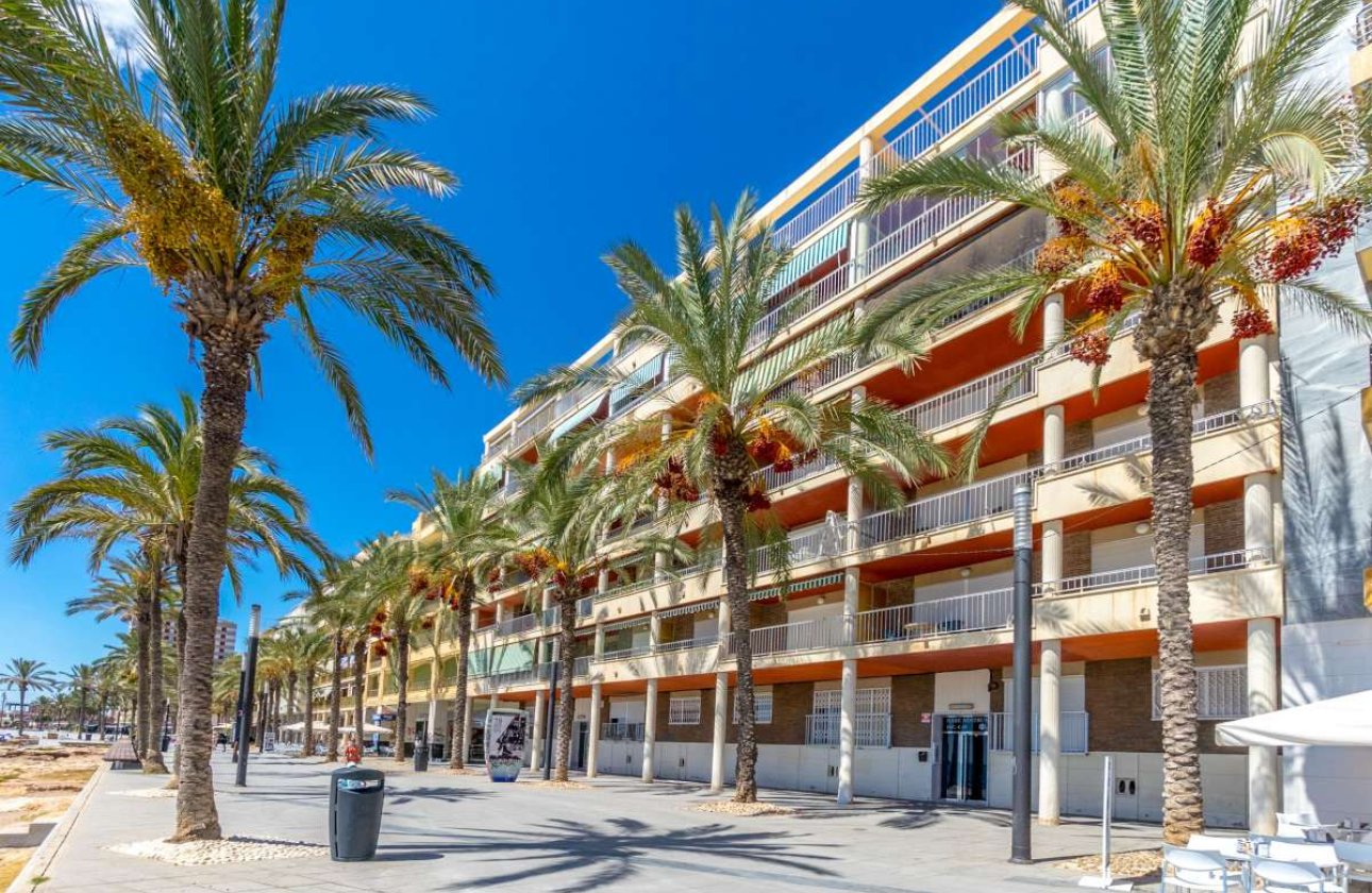 Resale - Apartment -
Torrevieja - Costa Blanca