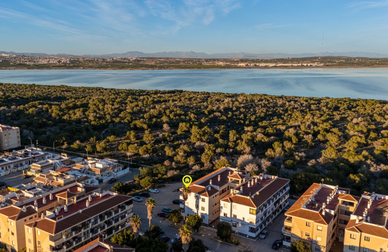 Resale - Apartment -
Torrevieja - Costa Blanca